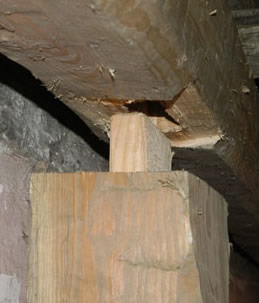 Beam and column mortise and tenon