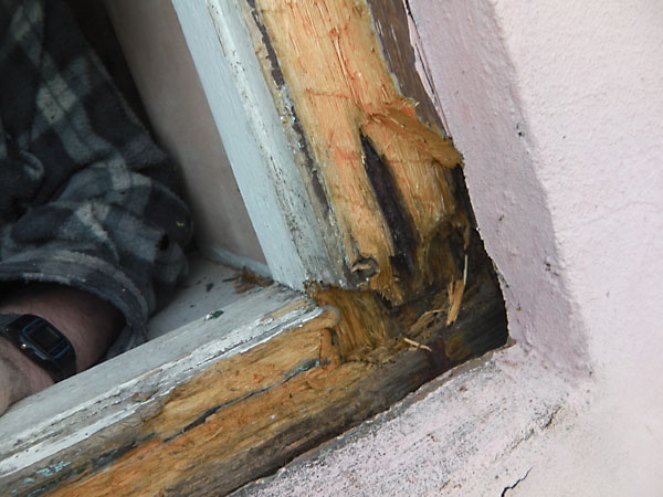 How much rotten wood to remove for window repairs